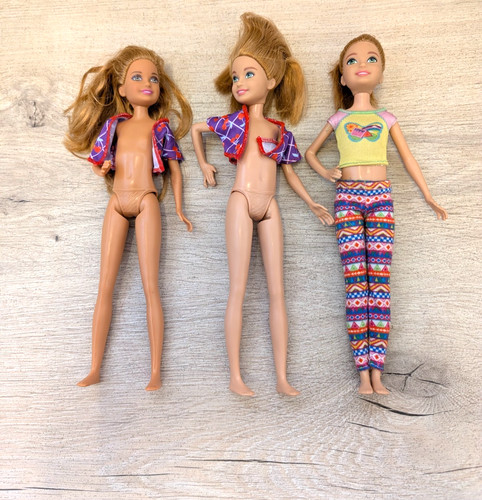Barbie sisters doll bundle - barbie,