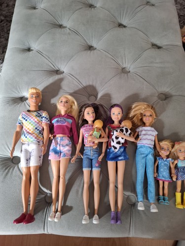 Barbie family ken - family, 2x