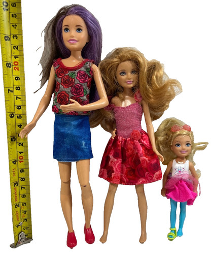 Barbie sisters skipper - sisters,